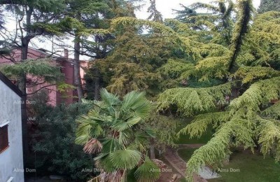 Appartement Novigrad