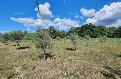 Landbouwgrond Kaštelir-Labinci