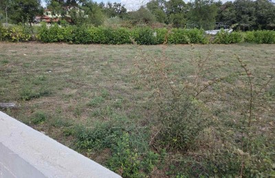 BOUWGROND 1.550 m² – PAVIĆINI, DUGA UVALA