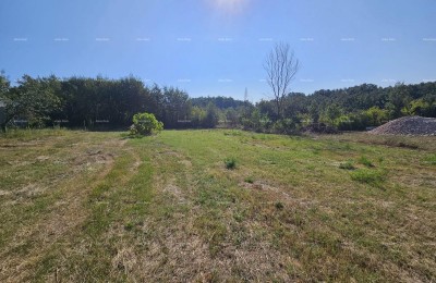 Verkoop van bouwgrond, Žminj