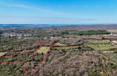 GALIŽANA - Groot agrarisch perceel te koop – 20.498 m², uitstekende locatie