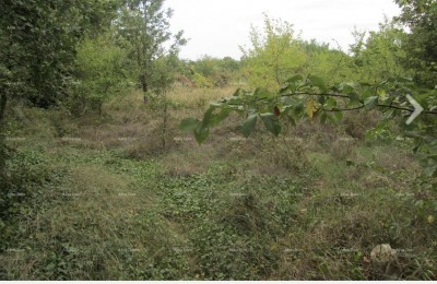Bouwgrond Ližnjan