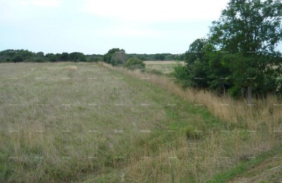 Jadreški, Te koop landbouwgrond, oppervlakte 21.870 m²