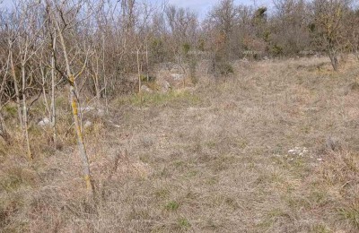 VERKOOP VAN BOUWGROND, 6.230 m² – PLOVANIJA (BUJE)