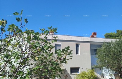 Appartement Buje
