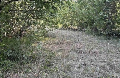 Marčana, grond met gemengd gebruik