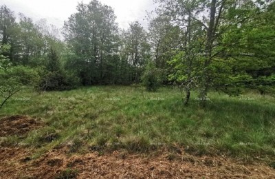 Bouwgrond Sveta Nedelja