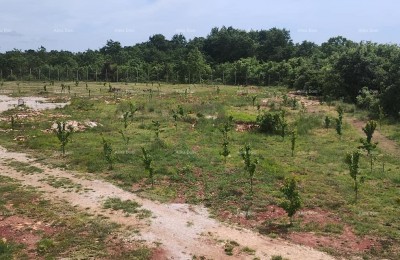 Verkoop van grond met bouwvergunning voor de bouw van een villa met zwembad, Svetvinčenat!