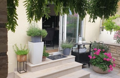 Appartement Novigrad