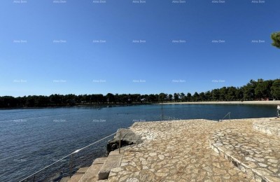 Appartement Novigrad